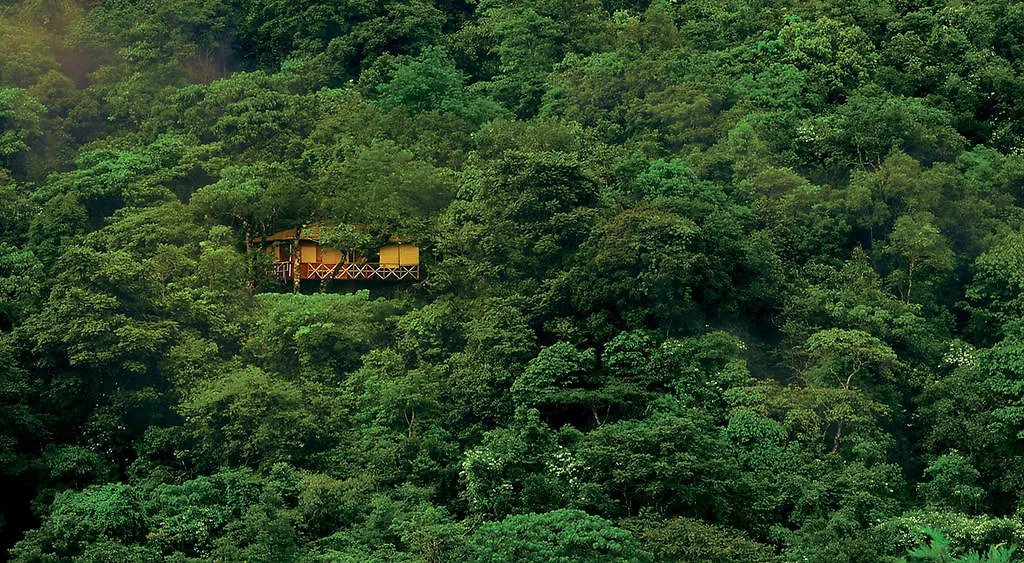 Vythiri Resort 4*,
