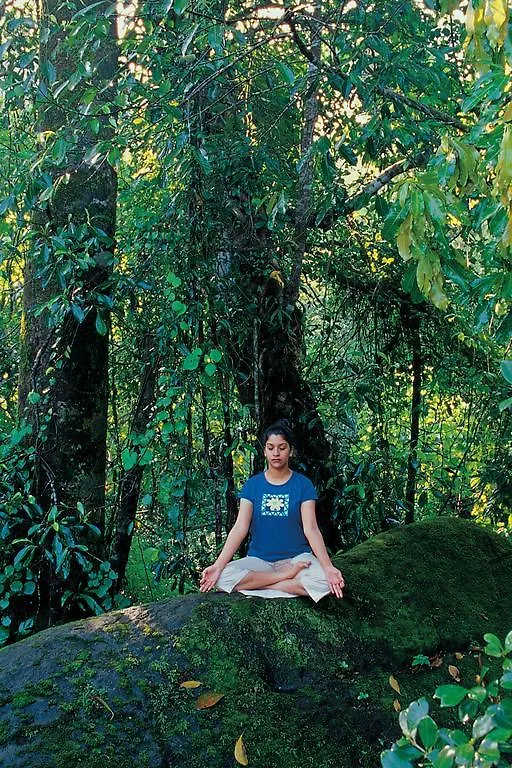 Vythiri Resort